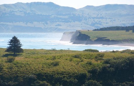 Z&C picnic-pasagshak 8-2010 350